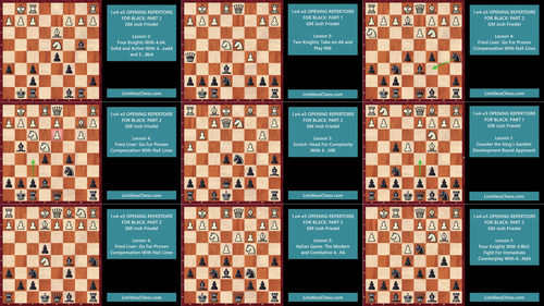国际象棋开放性开局:黑方应对策略全解 (英文课程中文字幕)