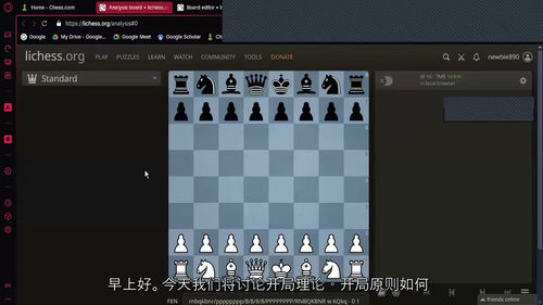 [中字] 国际象棋入门：开局、中局与战略规划（中文字幕英文视