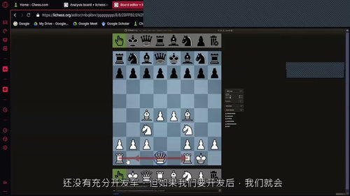 [中字] 国际象棋入门：开局、中局与战略规划（中文字幕英文视