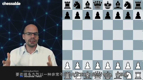 [中字] 国际象棋原则重探 - 发展 - 国际大师安德拉斯・
