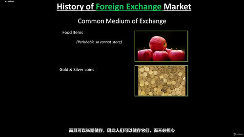 货币衍生品与外汇交易:NISM认证备考攻略 (英文课程中文字幕)