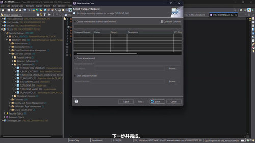 SAP BTP RAP零基础入门:动手构建你的第一个应用 (英文课程中文字幕)