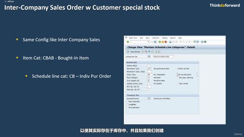SAP公司间流程全攻略:Fiori环境下的企业间业务协同 (英文课程中文字幕)