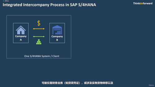 SAP公司间流程全攻略:Fiori环境下的企业间业务协同 (英文课程中文字幕)
