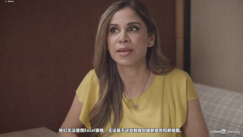 Excel从入门到实战:Microsoft 365完全指南 (英文课程中文字幕)