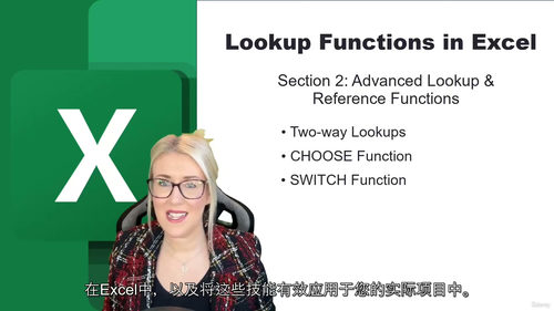 [中字] Excel 查找与引用函数实战课程（中文字幕英文视