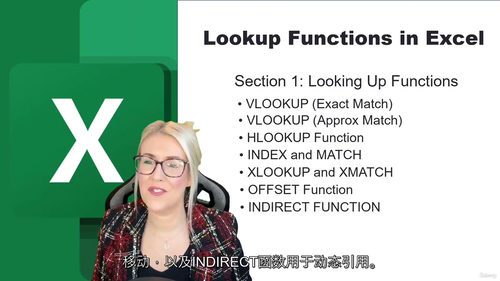 [中字] Excel 查找与引用函数实战课程（中文字幕英文视