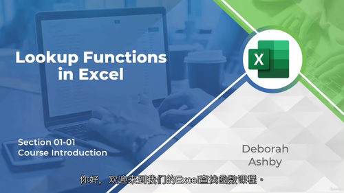 [中字] Excel 查找与引用函数实战课程（中文字幕英文视