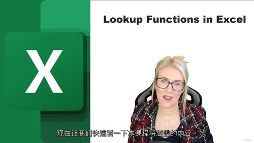 [中字] Excel 查找与引用函数实战课程（中文字幕英文视