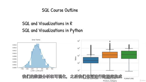 [中字] SQL 数据科学实战：Oracle、MySQL、R