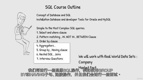 [中字] SQL 数据科学实战：Oracle、MySQL、R
