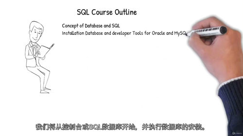 [中字] SQL 数据科学实战：Oracle、MySQL、R