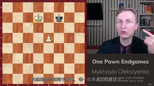 国际象棋残局精解：单兵制胜之道 (中文字幕英文视频教程)