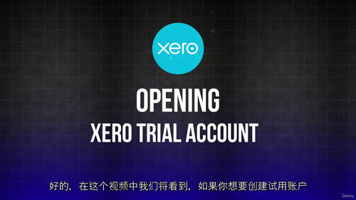 [中字] Xero 云会计精通课程（中文字幕英文视频教程）