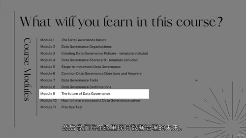 数据治理完全入门教程 Data Governance 从基