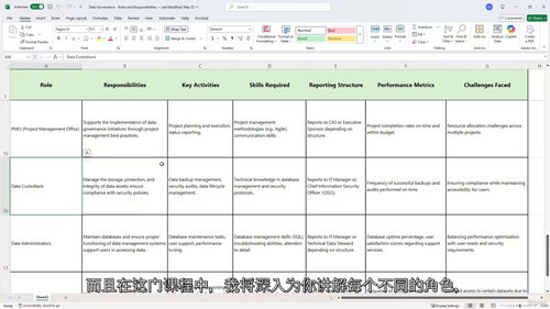数据治理完全入门教程 Data Governance 从基