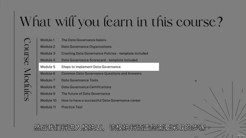 数据治理完全入门教程 Data Governance 从基