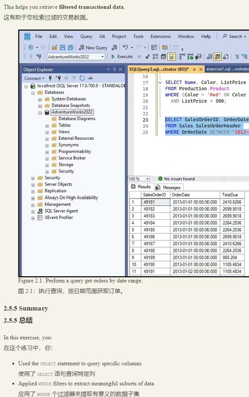 [中英对照] 精通 SQL 商务数据处理：使用 SQL Se