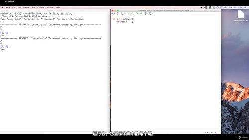 Python入门:用动手项目带你从零基础到真正写代码 (英文课程中文字幕)