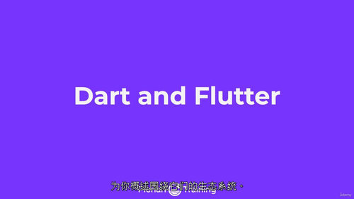 Dart 与 Flutter 3 实战训练营：跨平台应用开发