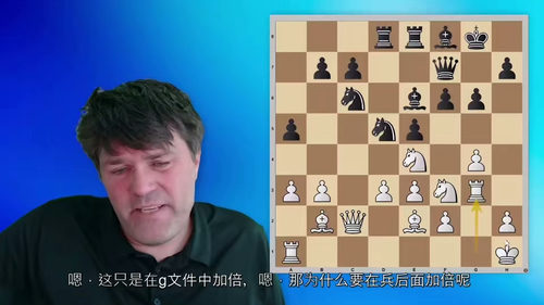 国际象棋结构:大师级指南——彼得·海恩·尼尔森课程 (中文字