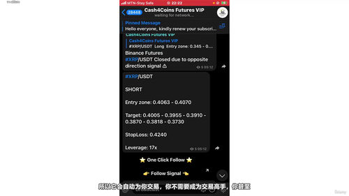 加密货币自动交易机器人实战:用Cornix和信号实现躺赚 (英文课程中文字幕)