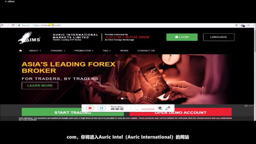 外汇交易入门：从概念到实战的全方位指南 (英文课程中文字幕)