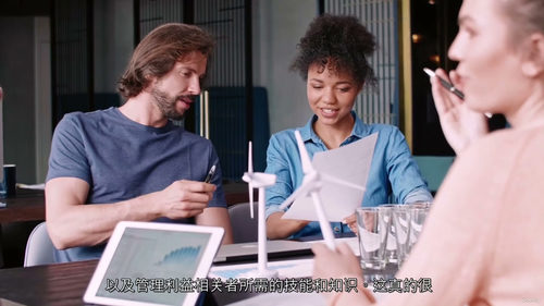 [中字] PMP 项目干系人管理课程（中文字幕英文视频教程）