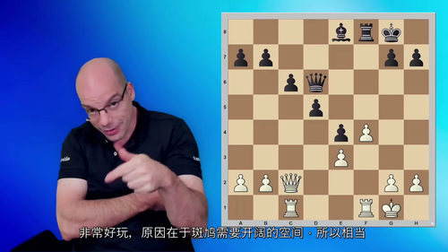 业余棋手的思维提升指南 —— 安德拉斯・托特国际大师国际象棋
