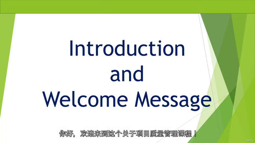 项目质量管理实战课程