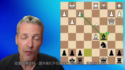 国际象棋防守大师课——约翰·赫尔斯坦特级大师精讲 (中文字幕