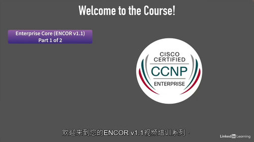 [中字] CCNP Enterprise - ENCOR v
