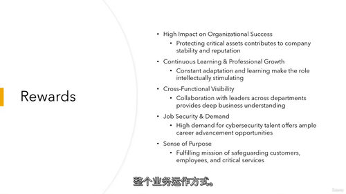 网络安全解决方案架构入门 101(中文字幕英文视频教程)