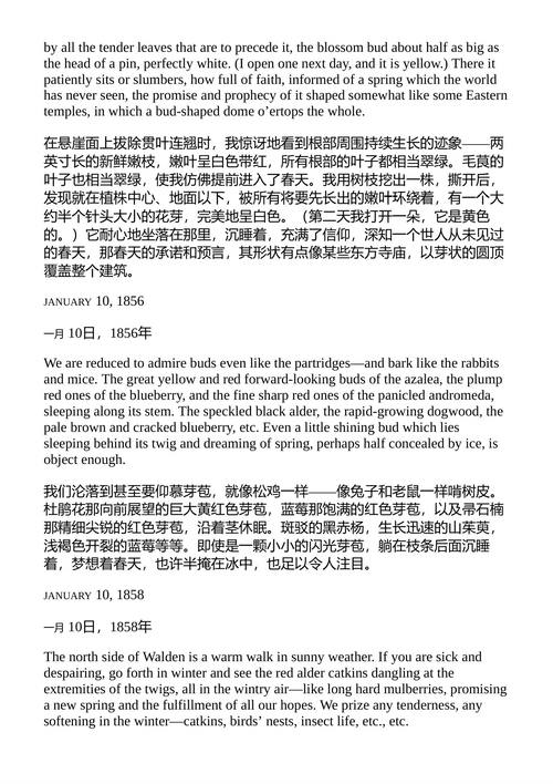 梭罗的野花 亨利·大卫·梭罗 (中英对照电子书)