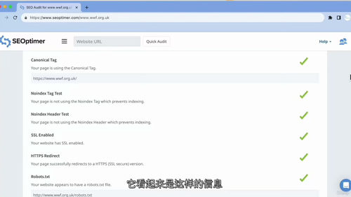 [中字] SEO 审计简化教程 —— 无术语实操指南（中文字