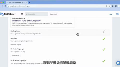 [中字] SEO 审计简化教程 —— 无术语实操指南（中文字