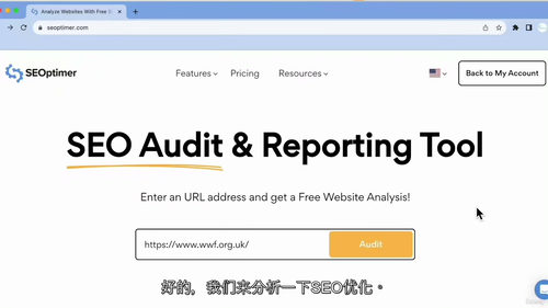 [中字] SEO 审计简化教程 —— 无术语实操指南（中文字