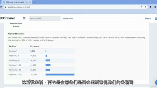 [中字] SEO 审计简化教程 —— 无术语实操指南（中文字