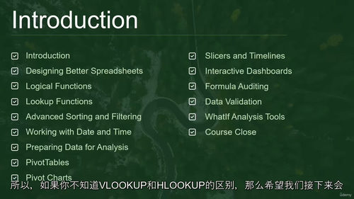 [中字] Excel 数据清洗与格式化实战进阶（中级）（中文