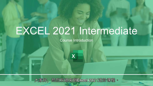 [中字] Excel 数据清洗与格式化实战进阶（中级）（中文