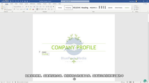 AI驱动的微软Office项目实战：用ChatGPT和Gemini让工作效率翻倍 (英文课程中文字幕)