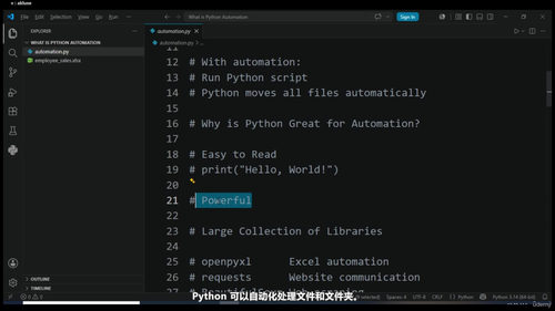Python自动化实战:4个真实项目帮你省下大量时间 (英文课程中文字幕)