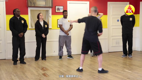 实用街头防卫:成年人必备的自卫技能课 (英文课程中文字幕)