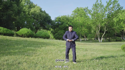 气功解锁：西方医学视角下的古老智慧 (英文课程中文字幕)