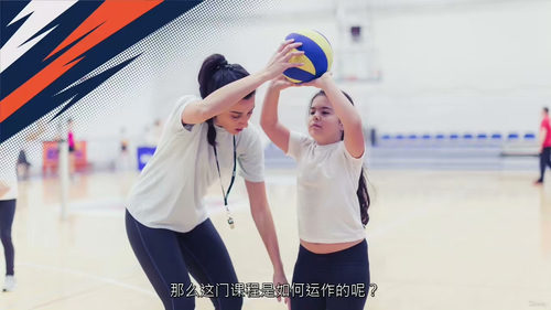 青少年排球基础训练课程