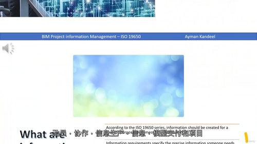 BIM项目信息管理标准化实践——基于ISO 19650标准