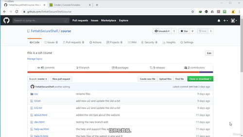 GitHub仓库管理实战课：从基础操作到安全配置 (英文课程中文字幕)