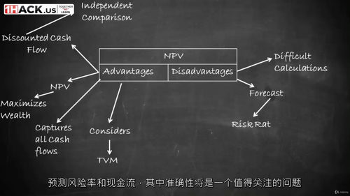 [中字] 财务管理：CA-CMA-CS-CFA-ACCA 全