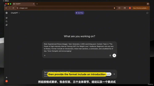 三十分钟提示工程实战课:让AI真正听懂你的需求 (英文课程中文字幕)