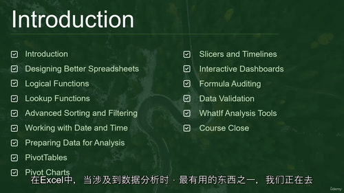 [中字] Excel 中级实战：日期与时间函数深度应用（中文